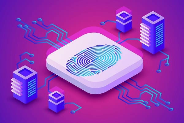 Fingerprint store and search